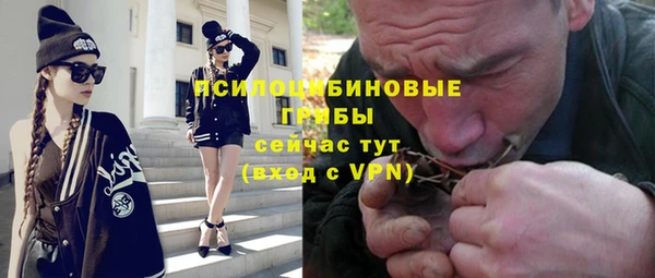 PSILOCYBIN Алзамай
