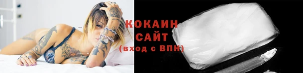 наркотики Тайга