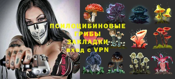 PSILOCYBIN Алзамай