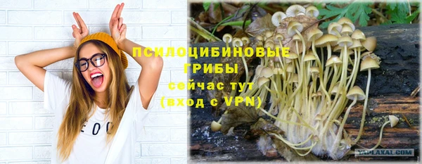 PSILOCYBIN Алзамай