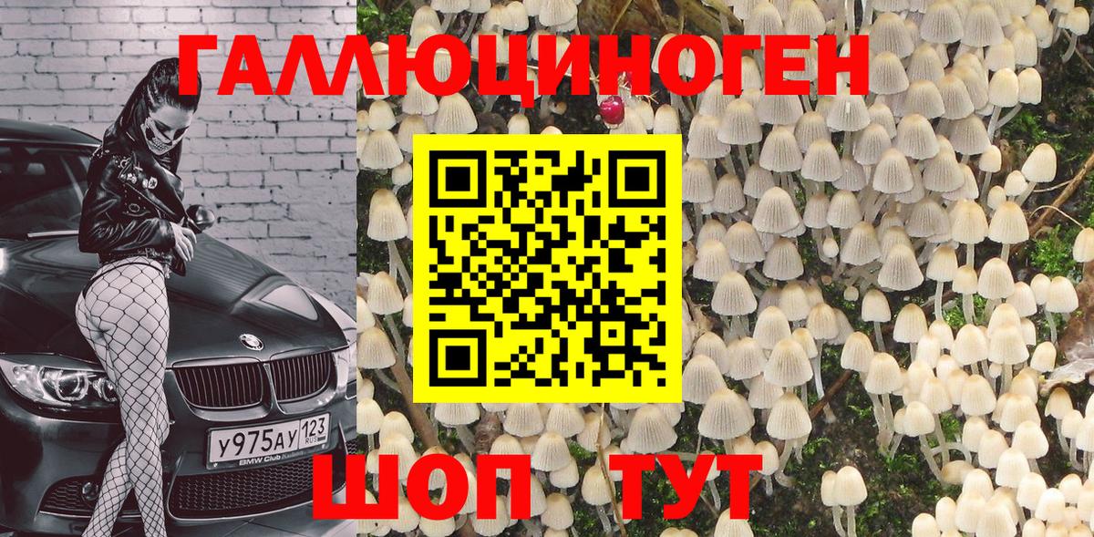Шахты  Галлюциногенные грибы Magic Shrooms  Галлюциногенные грибы Psilocybe  Вход с VPN 